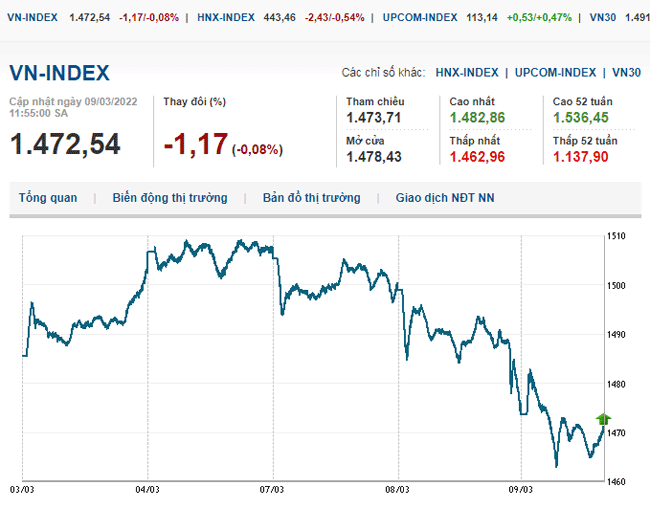thi-truong-chung-khoan-9-3-2022-voh.com.vn-anh2