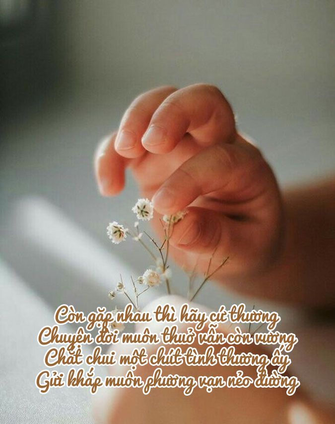 tuyen-chon-37-bai-tho-phat-giao-loi-day-sau-sac-ve-nhan-sinh-voh-8