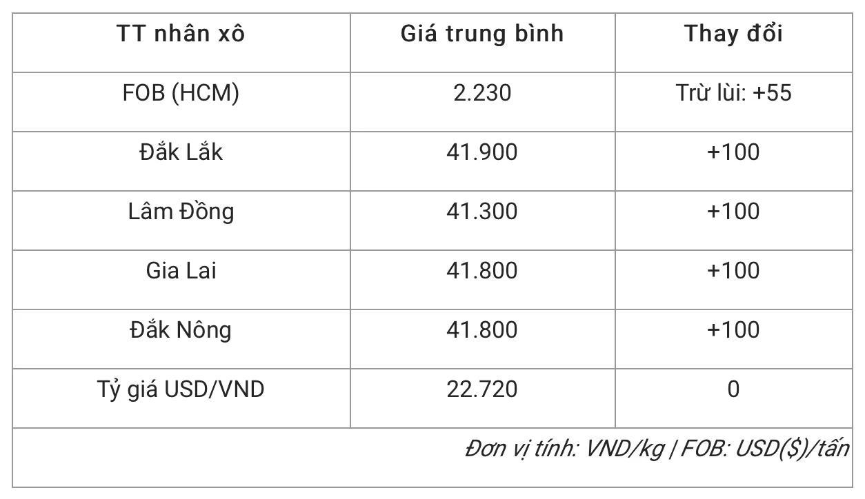 Giá cà phê hôm nay 22/3/2022: Tăng mạnh trong nước và thế giới