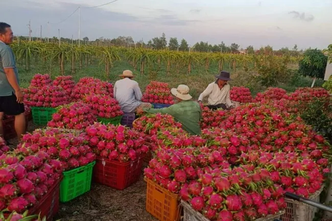 Tin nóng sáng 30/3: ai nạn do nổ lốp trên hai cao tốc ở TPHCM chiếm 0,94% 2