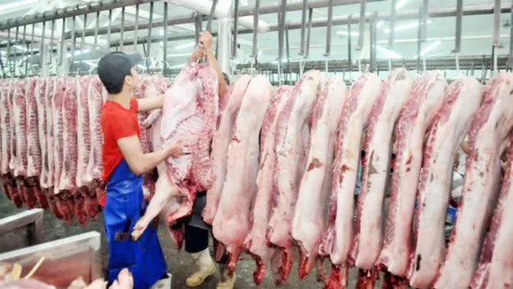 Giá heo hơi hôm nay 5/4/2022: Tăng thêm 1.000 - 3.000 đồng/kg 1