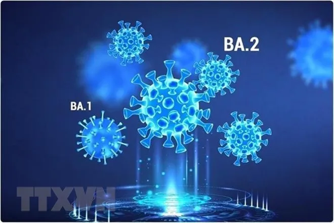 WHO theo dõi hai biến thể mới của omicron