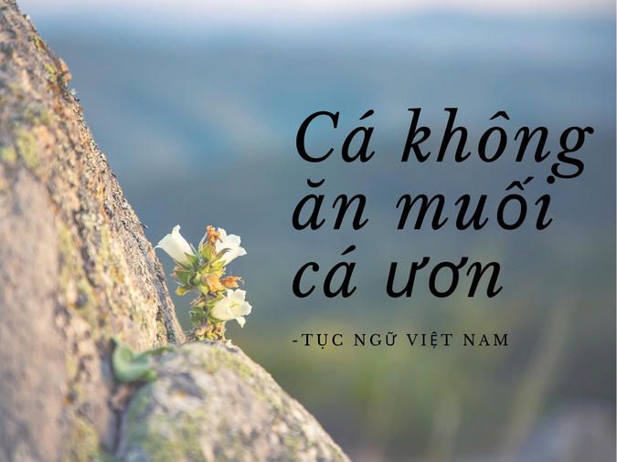 7. Kết luận: Tầm quan trọng của câu tục ngữ trong việc xây dựng một xã hội vững mạnh