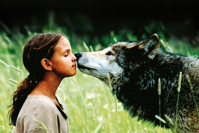 Tổng phù hợp 15 phim người sói cam go nhất 14