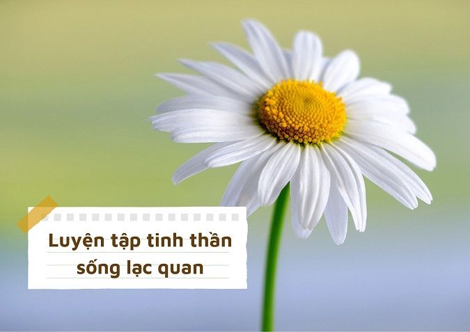 quan-diem-song-voh-3