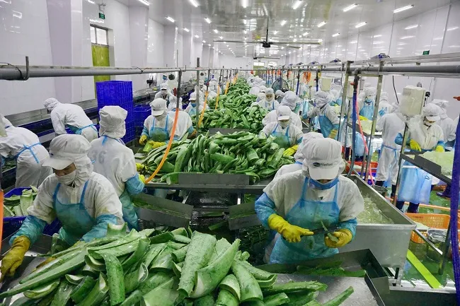 Doanh nghiệp Việt: Mơ ước tạo thương hiệu cho nông sản chế biến 2