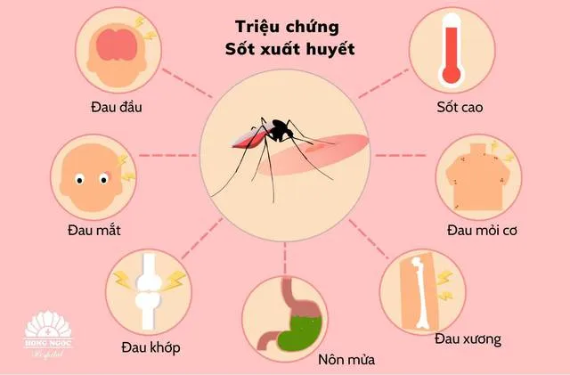 7 quan niệm sai lầm về sốt xuất huyết khiến bệnh dễ trở nặng 1