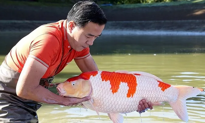 ‘Vua cá koi’ bật khóc: Hà Thanh Xuân không phải 'tiểu tam', con tôi bị tác động vì tin đồn 7