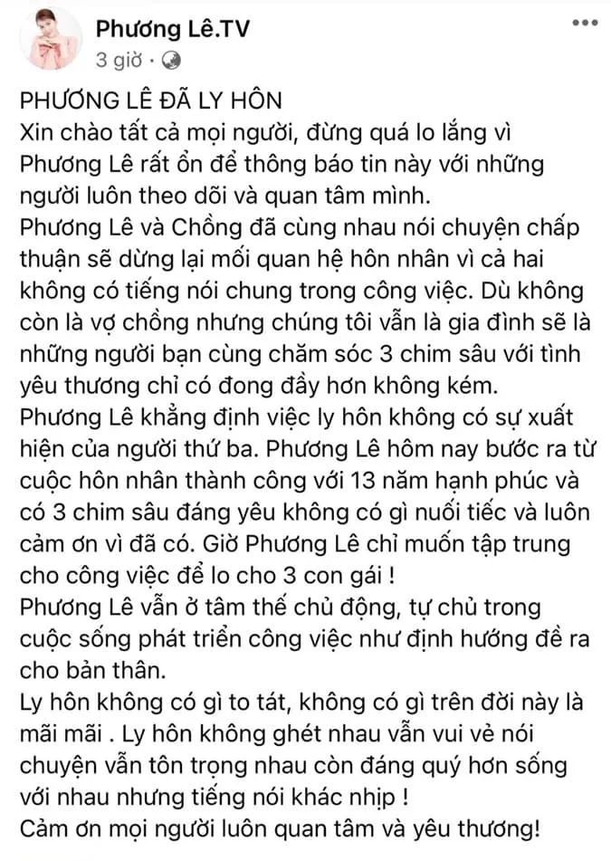 Hoa hậu Phương Lê ly hôn chồng đại gia 2