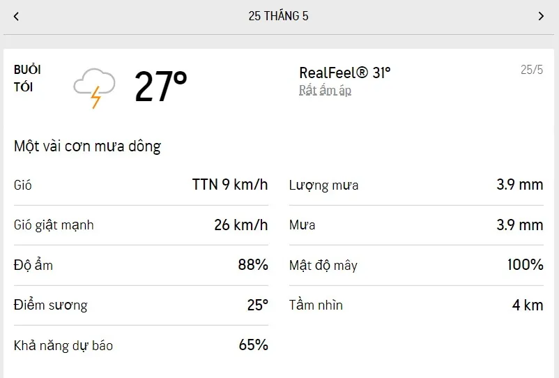 Dự báo thời tiết TPHCM hôm nay 24/5 và ngày mai 25/5/2022: cả ngày có mưa rải rác từng đợt 6