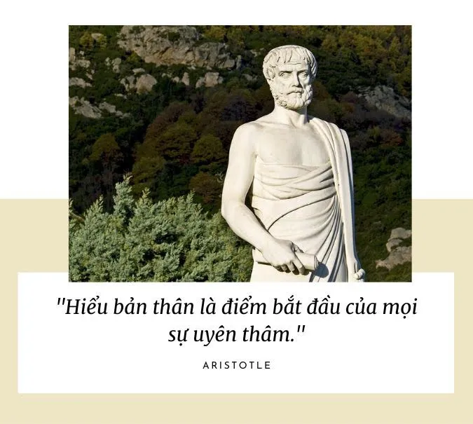 Tổng hợp 30 câu nói hay của Aristotle 3