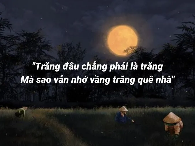 Ý nghĩa và nguồn gốc của câu ‘Cáo chết ba năm quay đầu về núi’ 3
