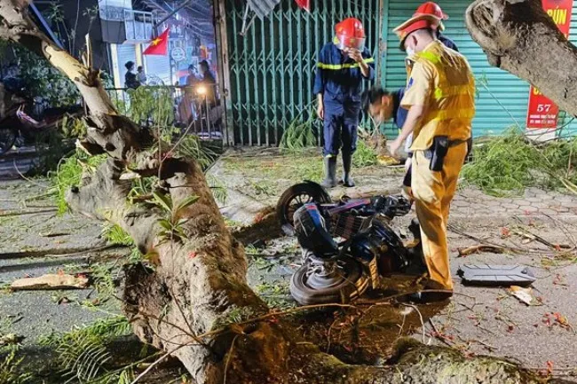 Tin tức tai nạn giao thông hôm nay 26/5/2022: Container quệt gãy cành cây rơi trúng một học sinh 1