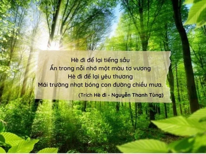 Tổng hợp những bài thơ lục bát 4 câu hay và ý nghĩa nhất 2