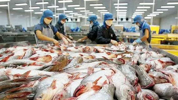 Thủy sản Việt Nam đủ sức cạnh tranh và thâm nhập vào thị trường RCEP 1