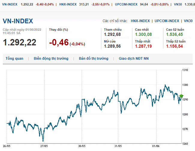 thi-truong-chung-khoan-1-6-2022-voh.com.vn-anh2
