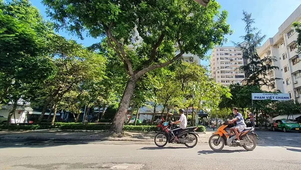 Ngày môi trường Thế giới 5/6/2022: Những sự thật cần biết về môi trường hiện tại 1