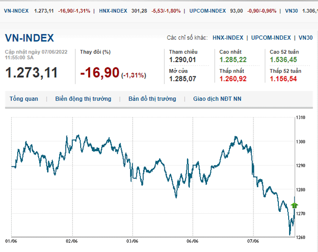 thi-truong-chung-khoan-7-6-2022-voh.com.vn-anh2
