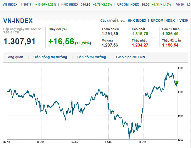 thi-truong-chung-khoan-8-6-2022-voh.com.vn-anh1