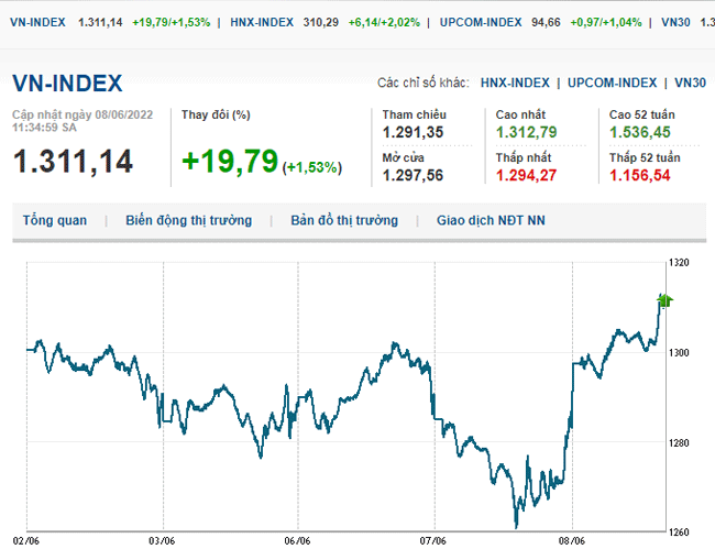 thi-truong-chung-khoan-8-6-2022-voh.com.vn-anh2