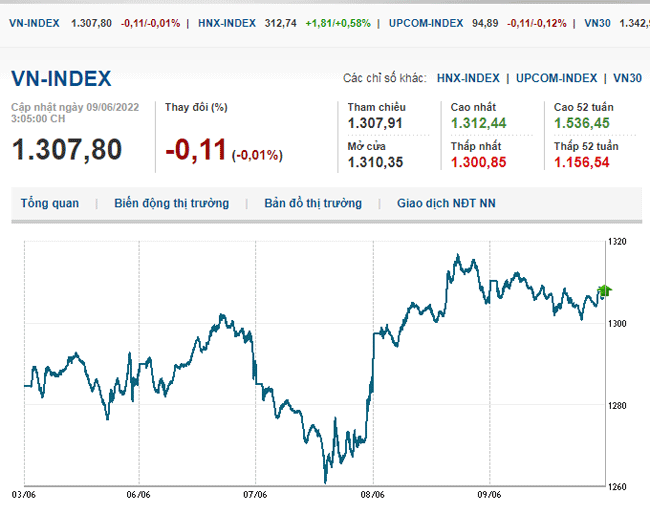 thi-truong-chung-khoan-9-6-2022-voh.com.vn-anh1