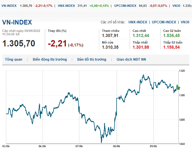 thi-truong-chung-khoan-9-6-2022-voh.com.vn-anh2