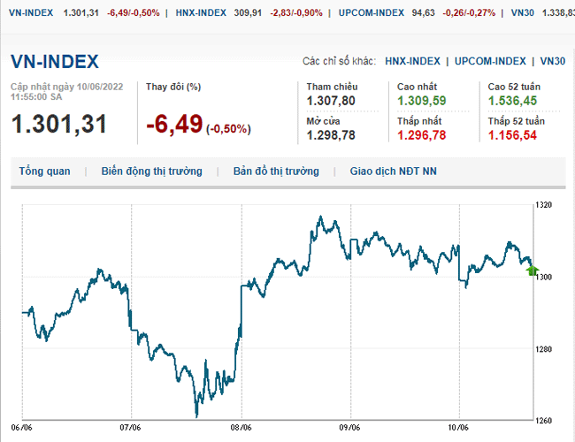 thi-truong-chung-khoan-10-6-2022-voh.com.vn-anh2