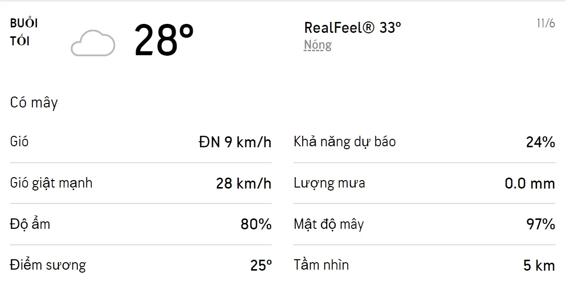 Dự báo thời tiết TPHCM hôm nay 11/6 và ngày mai 12/6/2022: Sáng chiều có mưa dông 3