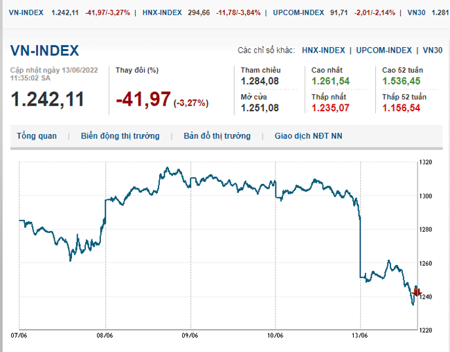 thi-truong-chung-khoan-13-6-2022-voh.com.vn-anh2