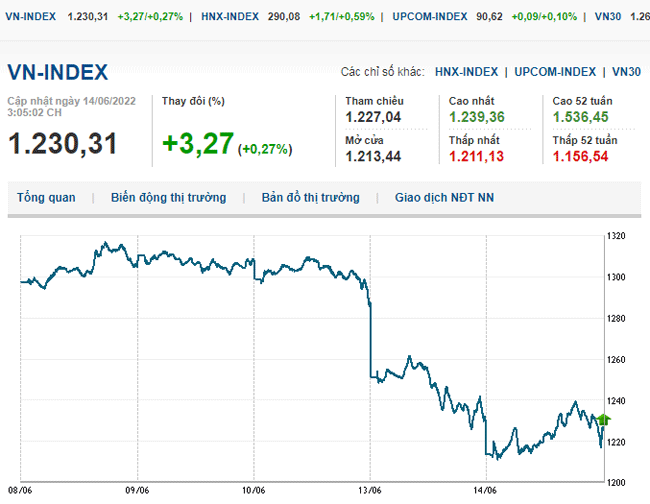 thi-truong-chung-khoan-14-6-2022-voh.com.vn-anh1
