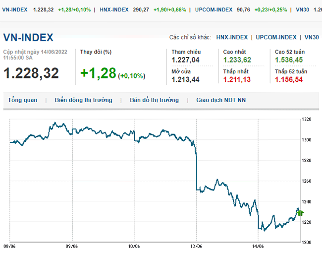 thi-truong-chung-khoan-14-6-2022-voh.com.vn-anh2