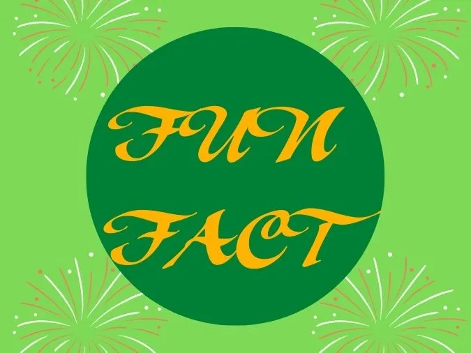 ‘Fact’ là gì? Cách sử dụng ‘fact’ trong tiếng Anh 3