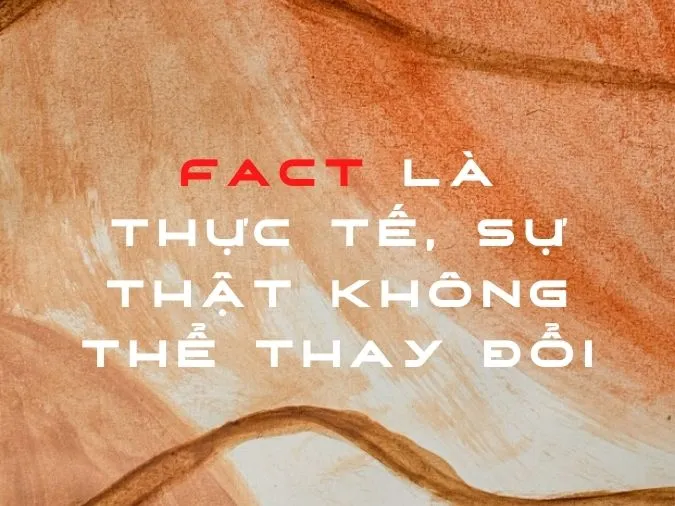 ‘Fact’ là gì? Cách sử dụng ‘fact’ trong tiếng Anh 1