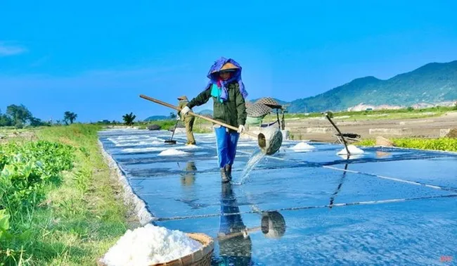 Dự báo thời tiết hôm nay 16/6/2022: Trung bộ đến Nam bộ ngày nắng, chiều tối có mưa dông 1