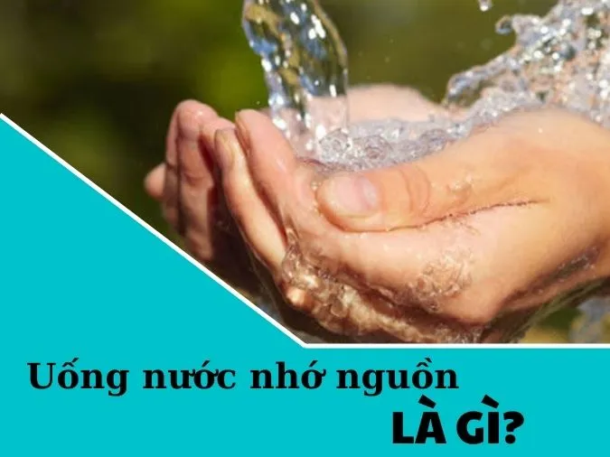 Giải thích câu tục ngữ ‘Uống nước nhớ nguồn’ 1