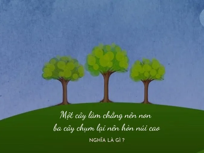 Ý nghĩa câu tục ngữ ‘một cây làm chẳng nên non, ba cây chụm lại nên hòn núi cao’ 1