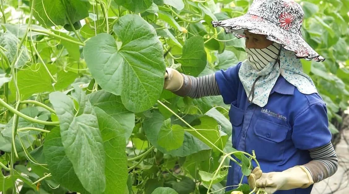 tăng lương, người lao động