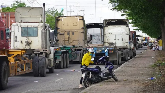 Giải pháp làm giảm lưu lượng xe container và tải nặng tại khu vực thị xã Phú Mỹ, Bà Rịa Vũng Tàu 1