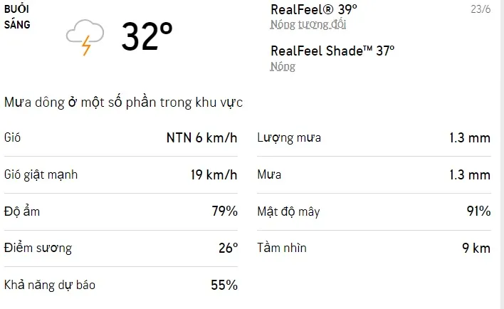 Dự báo thời tiết TPHCM hôm nay 23/6 và ngày mai 24/6: Sáng chiều có mưa rào và dông 1