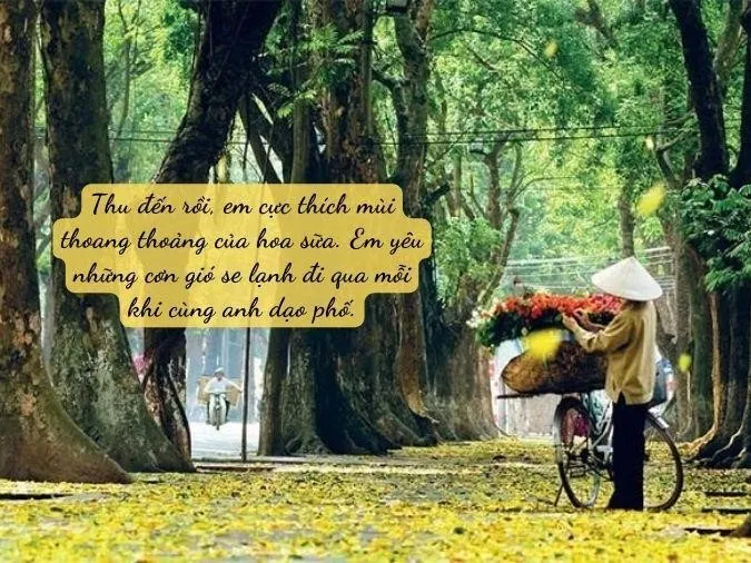 Tổng hợp những stt tháng 8 thơ mộng 3