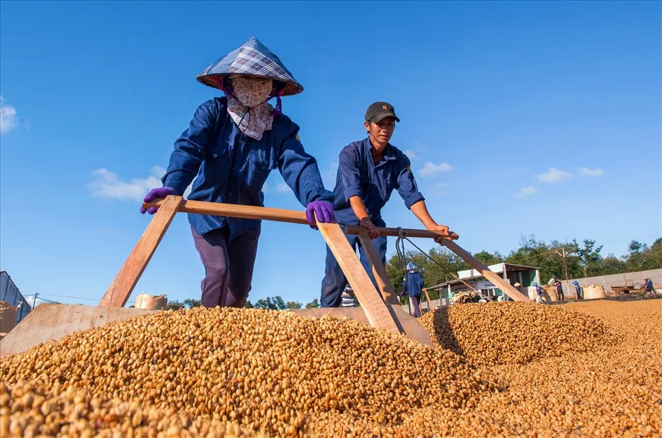 Bản tin tài chính 30/6: Tân Hoàng Minh tạm dừng kinh doanh từ 1-7 để 2