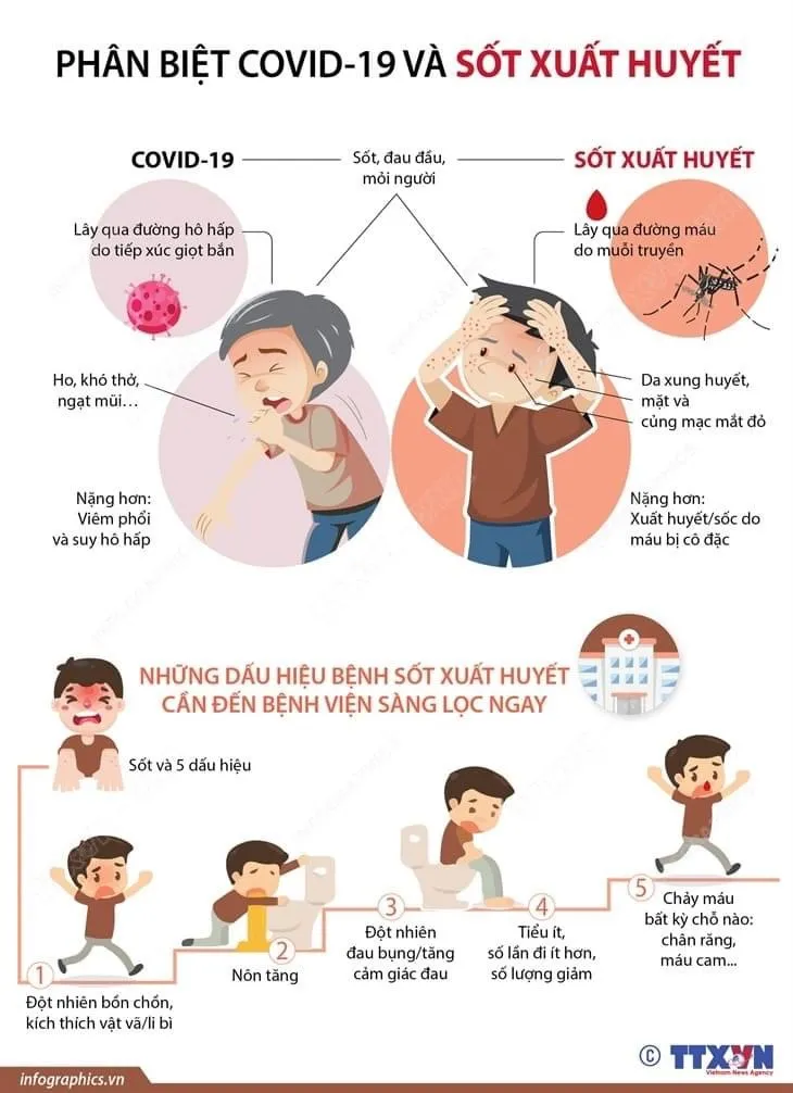 Phân biệt triệu chứng Covid-19 và sốt xuất huyết