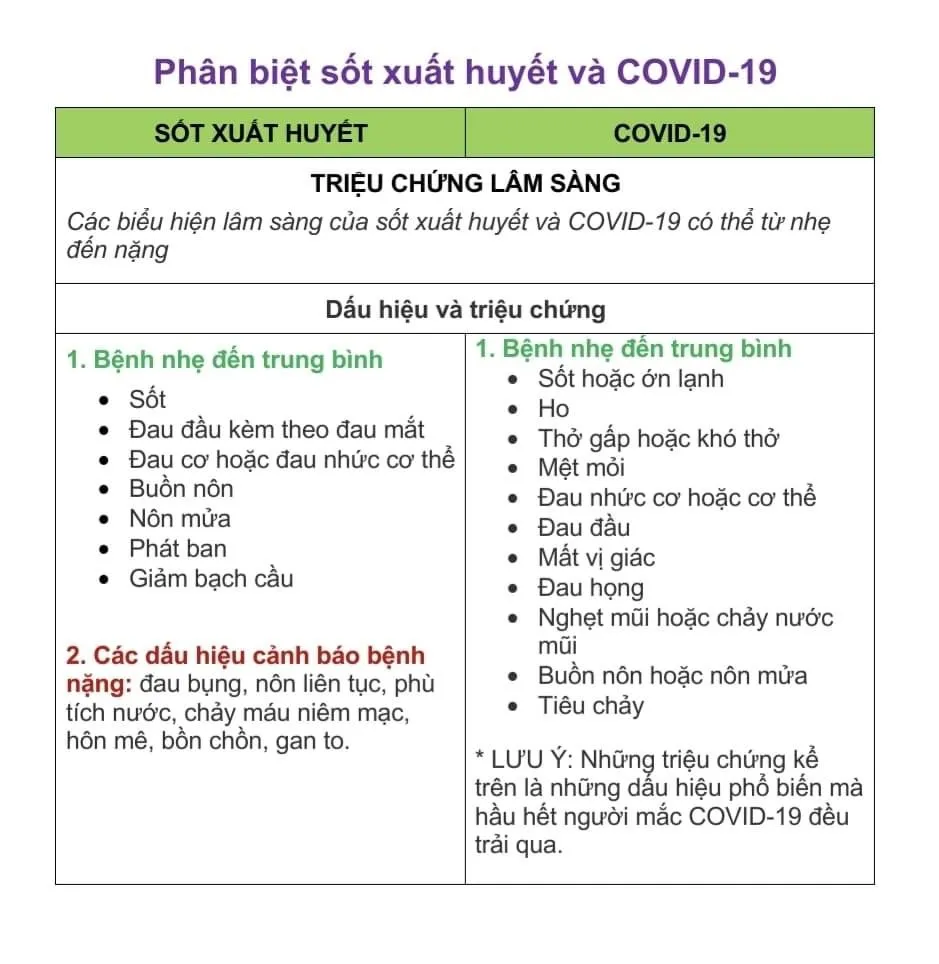 Phân biệt triệu chứng Covid-19 và sốt xuất huyết