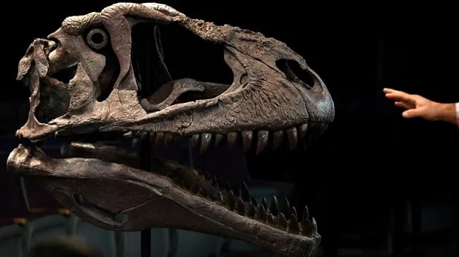 Phát hiện tàn tích của loài khủng long mới có đầu to và cánh tay nhỏ tại Argentina 1
