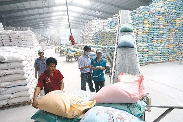 Quy trình thủ tục hải quan xuất khẩu gạo đi nước ngoài 1