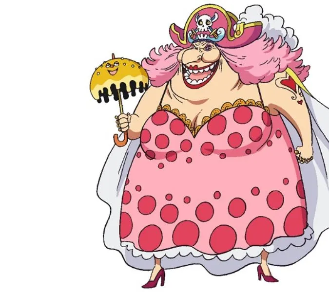 /XONG/ Nhân vật nữ trong One Piece: Được tổng hợp hình ảnh đầy đủ và chính xác nhấ 6
