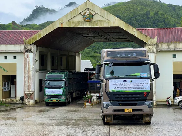 Vinamilk nhập 1000 bò sữa HF từ Mỹ về tổ hợp trang trại tại Lào 2