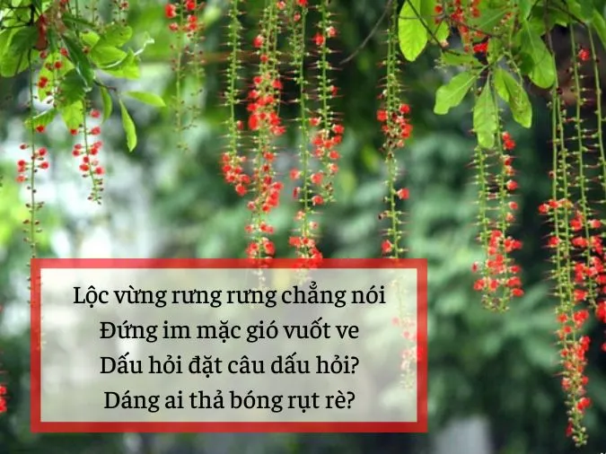 20 bài thơ về hoa lộc vừng chạm vào cảm xúc, đi vào lòng người 3