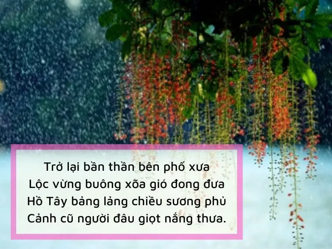 20 bài thơ về hoa lộc vừng chạm vào cảm xúc, đi vào lòng người 6