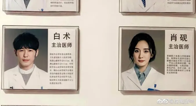Top 15 phim bác sĩ Trung Quốc được yêu thích nhất 13